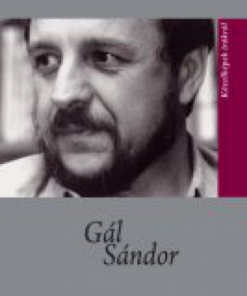 Alternative view of Gál Sándor