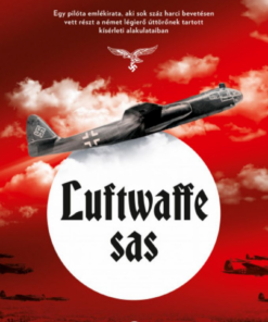 Alternative view of Luftwaffe sas