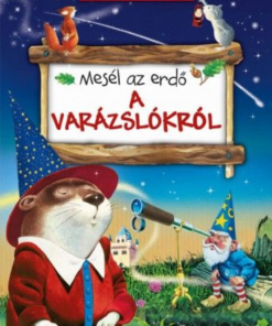 Alternative view of Mesél az erdő - A varázslókról