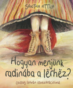 Alternative view of Hogyan menjünk radinába lërhëz