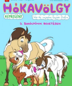Alternative view of Hókavölgy 3. - Bohócpónik bevetésen