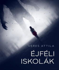 Alternative view of Éjféli iskolák