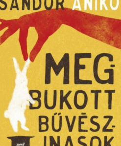 Alternative view of Megbukott bűvészinasok