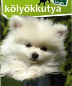 Alternative view of 1x1 Kölyökkutya