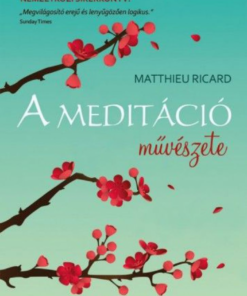 Alternative view of A meditáció művészete