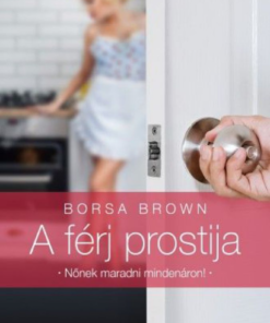 Alternative view of A férj prostija