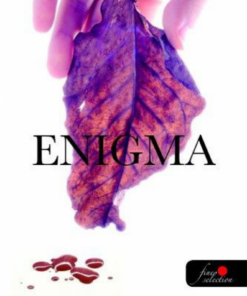 Alternative view of Enigma 1.