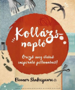 Alternative view of Kollázsnapló
