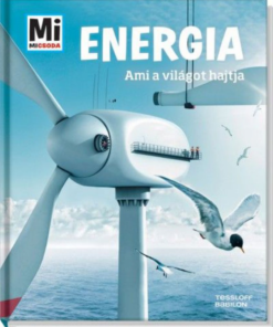Alternative view of Energia