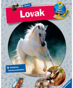 Alternative view of Lovak - Mit? Miért? Hogyan? Profi Tudás