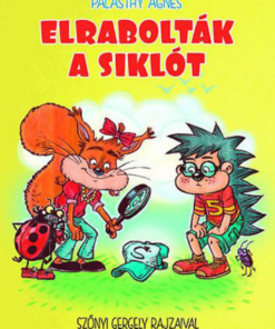 Alternative view of Elrabolták a siklót
