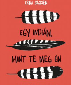 Alternative view of Egy indián, mint te meg én