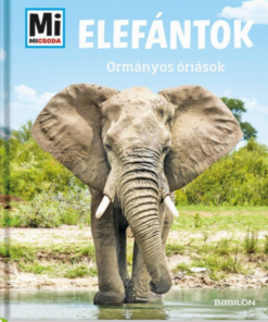 Alternative view of Elefántok - Ormányos óriások - Mi Micsoda