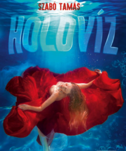 Alternative view of Holdvíz