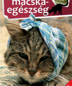 Alternative view of 1x1 Macskaegészség