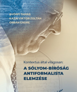 Alternative view of Kontextus által világosan: A Sólyom-bíróság antiformalista elemzése