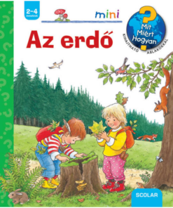 Alternative view of Az erdő
