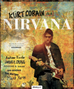 Alternative view of Kurt Cobain és a Nirvana
