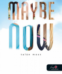 Alternative view of Maybe Now - Talán most (Egy nap talán 2.)