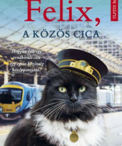 Alternative view of Felix, a közös cica