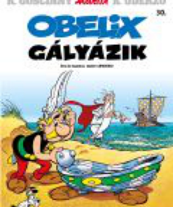 Alternative view of Asterix 30. - Obelix gályázik