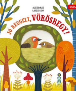 Alternative view of Jó reggelt, vörösbegy!