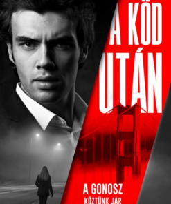 Alternative view of A köd után
