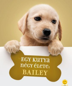 Alternative view of Egy kutya négy élete: Bailey