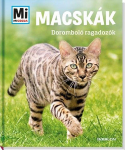 Alternative view of Macskák- doromboló ragadozók