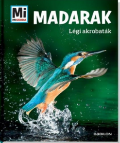 Alternative view of Madarak - Légi akrobaták
