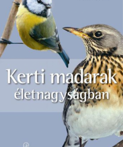 Alternative view of Kerti madarak életnagyságban