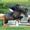 A díjugrató lovas kiképzése