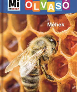 Alternative view of Méhek - Mi Micsoda Olvasó
