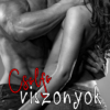 Csalfa viszonyok