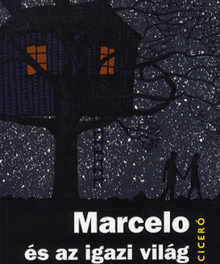 Alternative view of Marcelo és az igazi világ