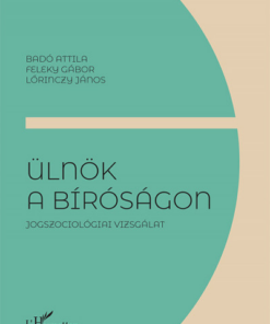 Ülnök a bíróságon - Jogszociológiai vizsgálat