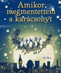 Amikor megmentettem a karácsonyt