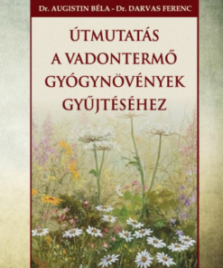 Útmutatás a vadontermő gyógynövények gyűjtéséhez