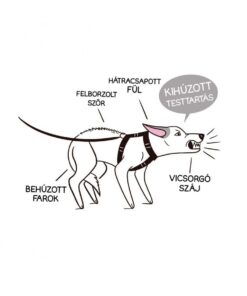 Alternative view of Kutyanyelv