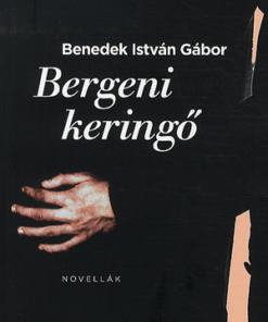 Alternative view of Bergeni keringő