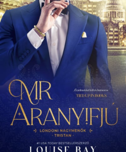 Mr. Aranyifjú
