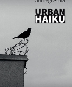 Urban haiku