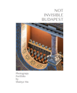 NOT INVISIBLE BUDAPEST