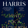 Mint pók a kulcslyukon