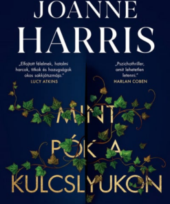 Mint pók a kulcslyukon