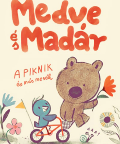 Medve és Madár - A piknik és más mesék