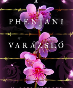 A phenjani varázsló
