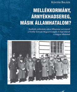 Mellékkormány, árnyékhadsereg, másik államhatalom?
