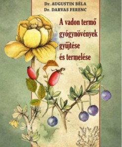 A vadon termő gyógynövények gyűjtése és termelése