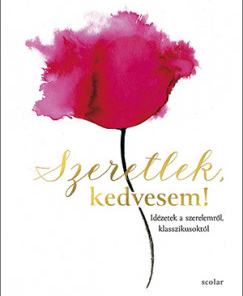 Szeretlek, kedvesem!